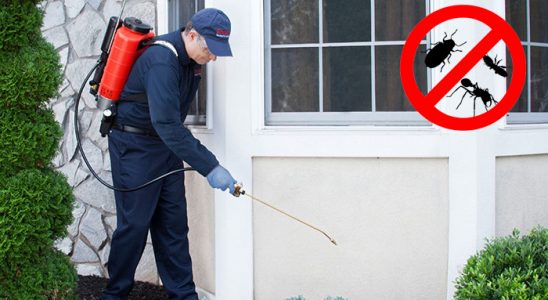 Çekerek Pire İlaçlama böcek ilaçlama ve haşere kontrolü — ilaclama-tr.com